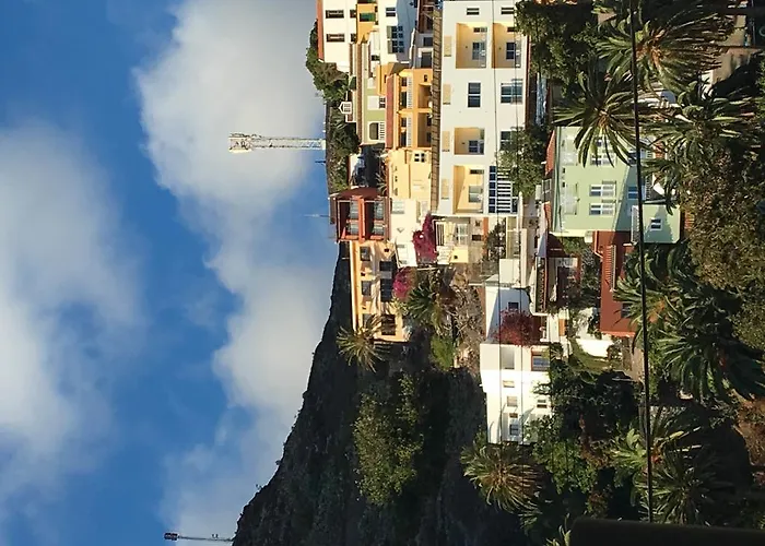 Dominguez Calera